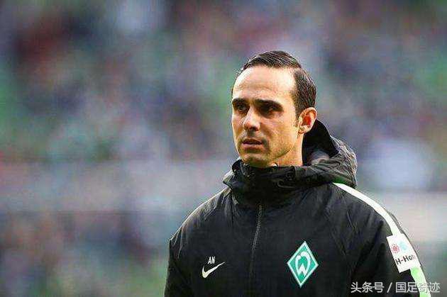 Ning迎来十五赛季高光表现，瑞士队球迷沸腾！(瑞士队15号)